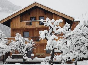 Apartment Rauch Zell Am Ziller
